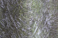 Gorran High Lanes fibreglass roof work